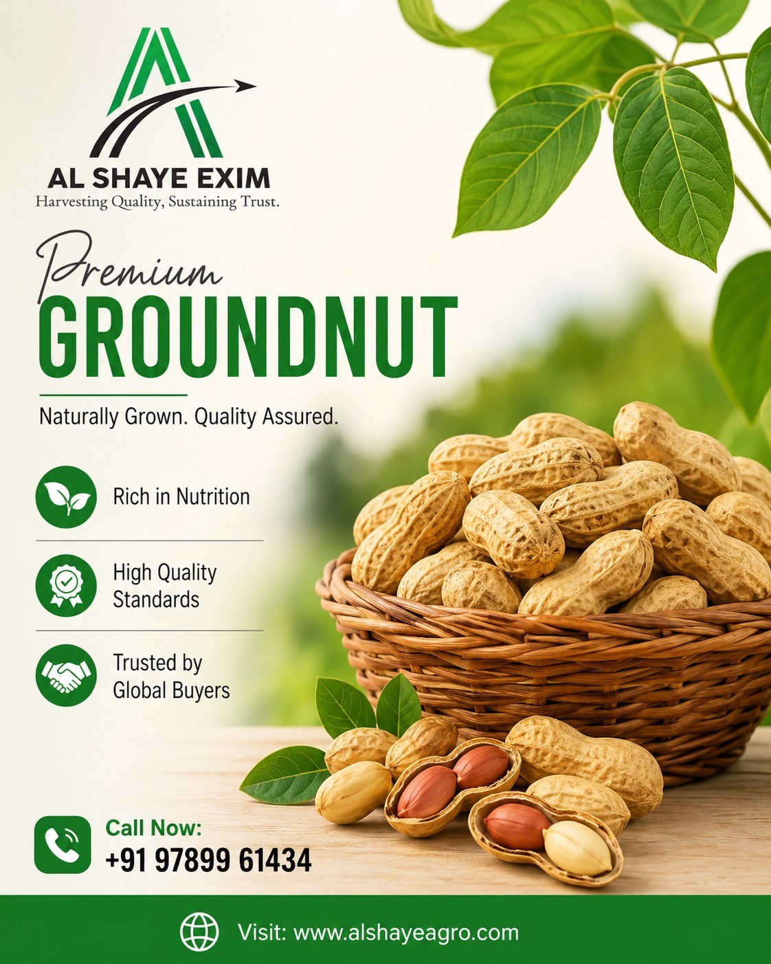 Premium Groundnuts, Trusted Worldwide!