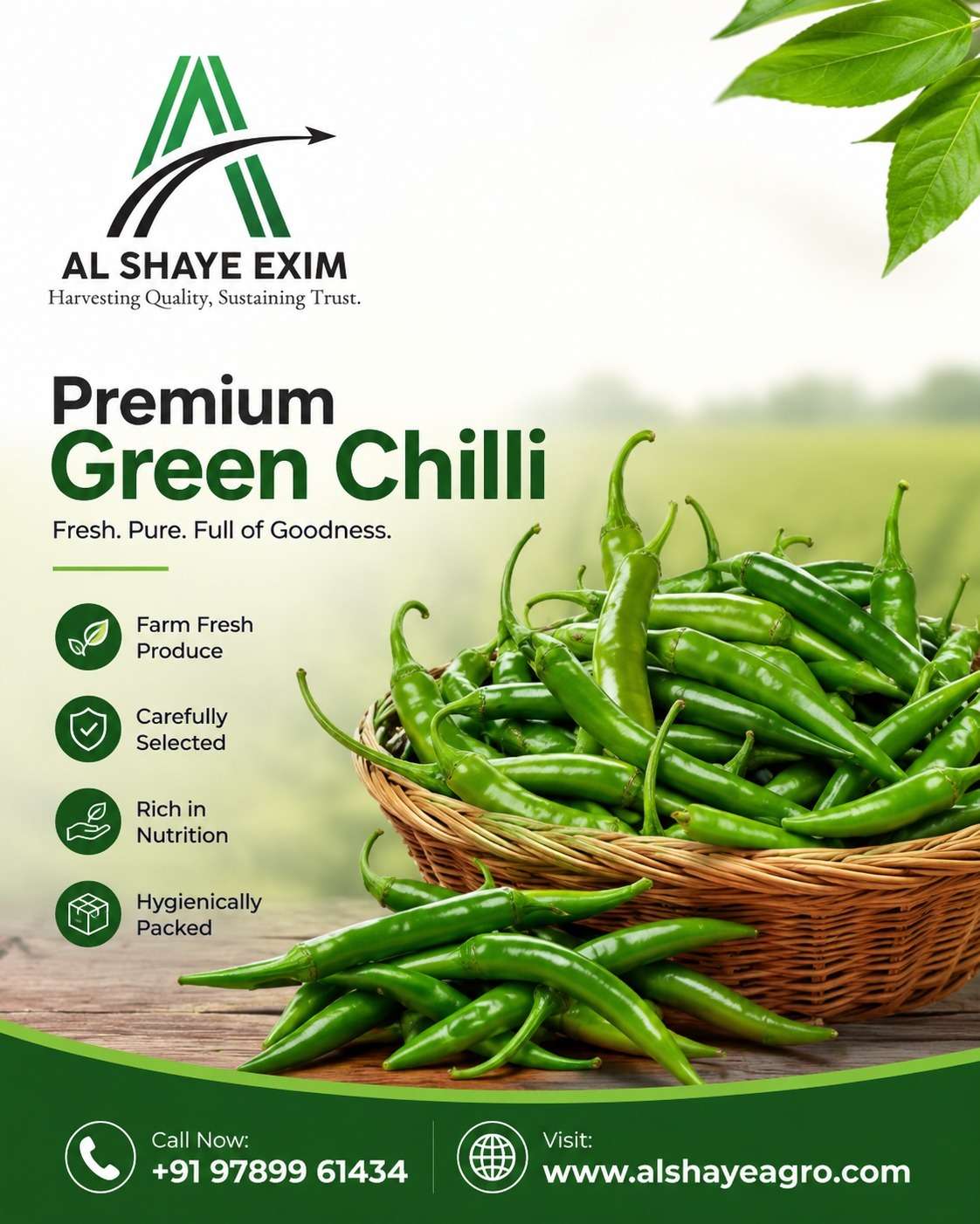 Premium Green Chilli – Fresh from Farm to Market! 