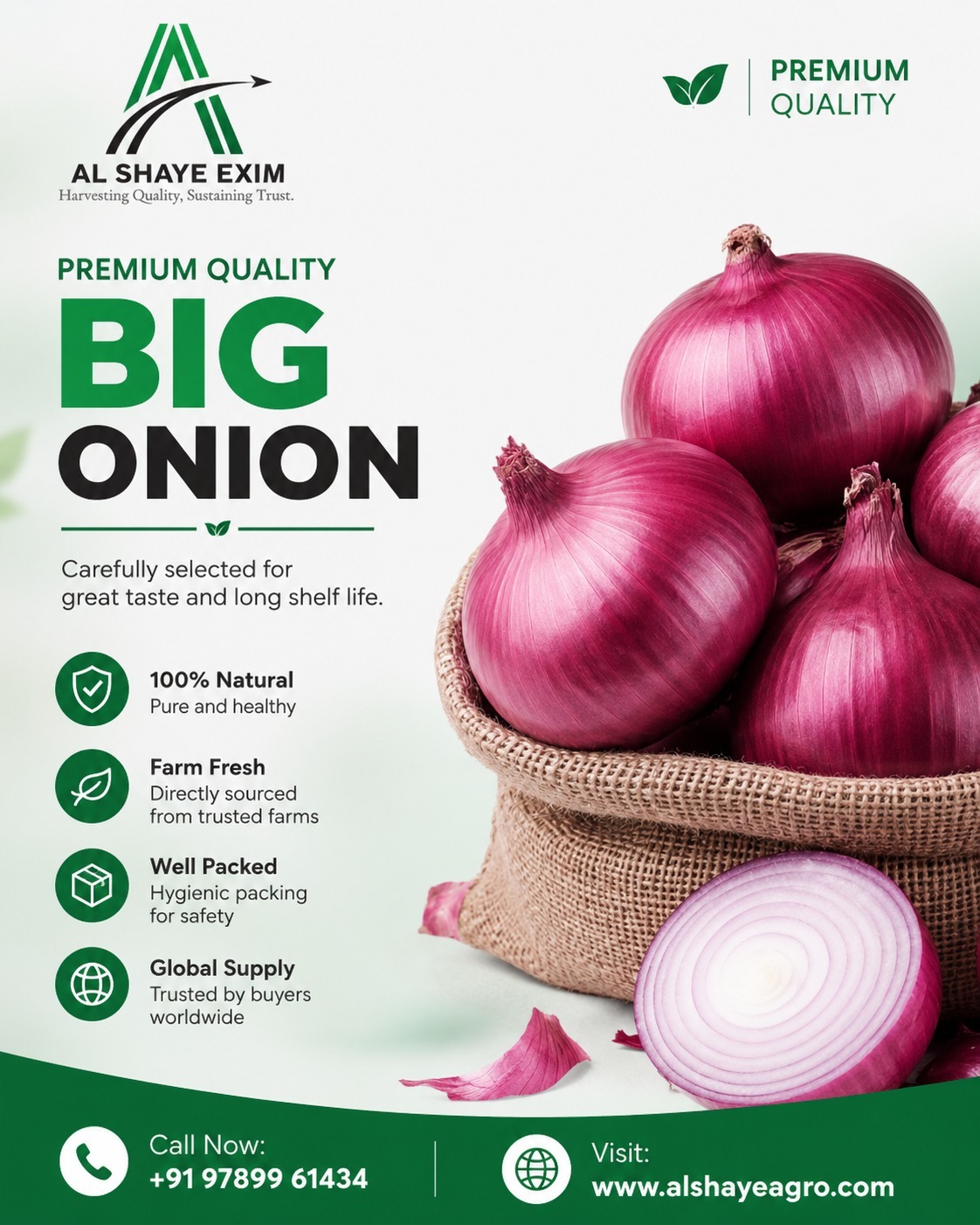 Premium Quality Big Onions – Fresh from Farm to Global Markets! 