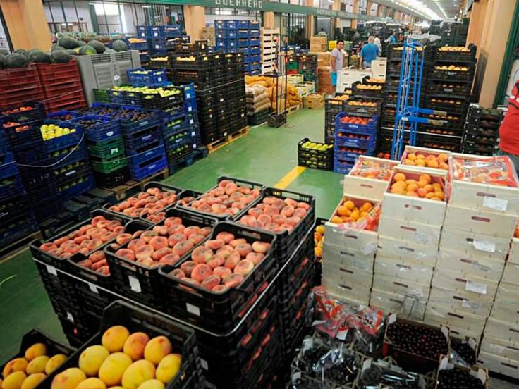 The smart buyer’s guide: how Middle East food businesses can select the best importers from India