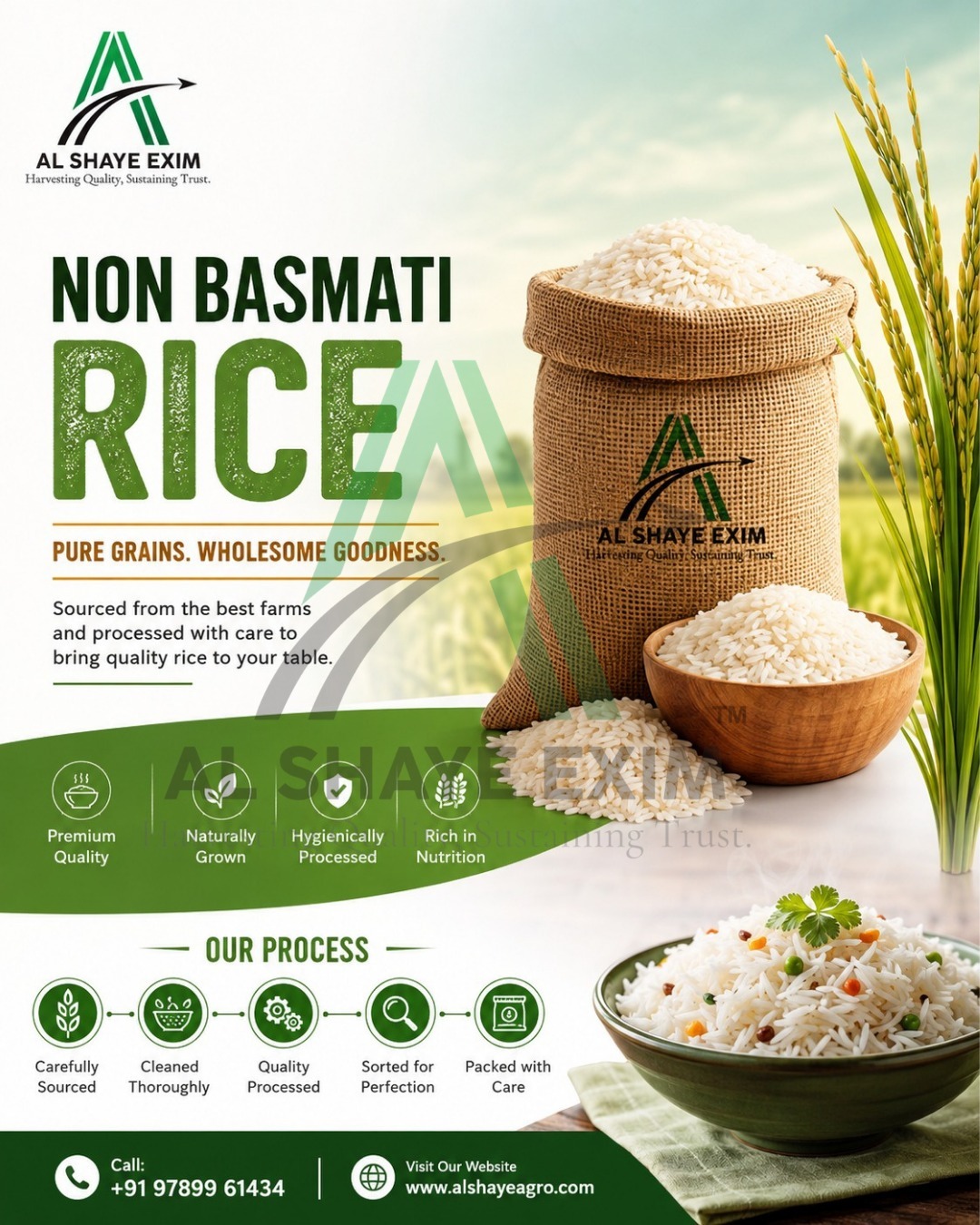 PURE GRAINS. WHOLESOME GOODNESS.