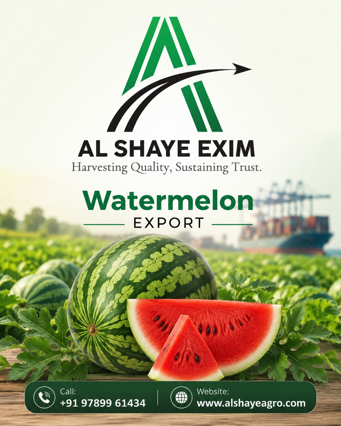 From farm to global markets, AL SHAYE EXIM delivers premium-quality watermelons with unmatched freshness, taste, and reliability. 
