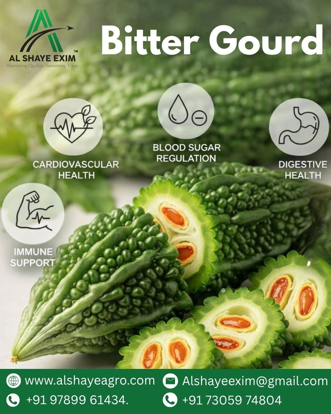 Discover the natural goodness of Bitter Gourd 