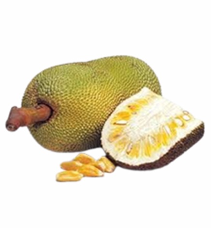 Baby Jackfruit