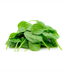 Indian Spinach