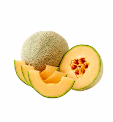Muskmelon