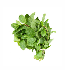 Mint Leaves