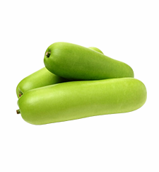 Bottle Gourd