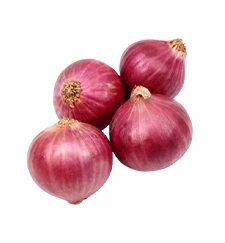 Big onion